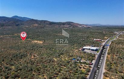 ERA SÖZ GAYRİMENKULDEN BALIKESİR HAVRAN’DA BAĞ EVLİ, ALTYAPILI SATILIK ZEYTİNLİK