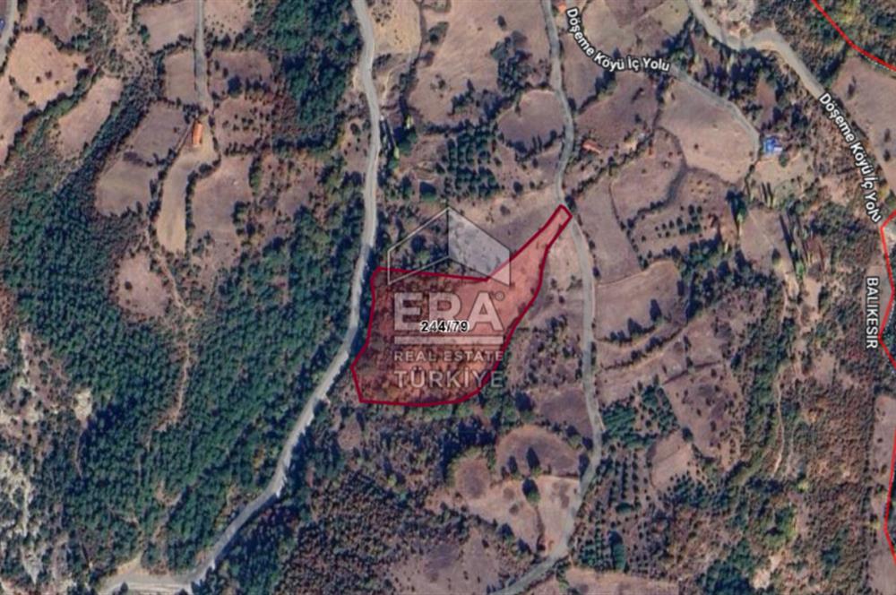 Era Söz'den İvrindi'de Köy Merkezine Yakın Tarla