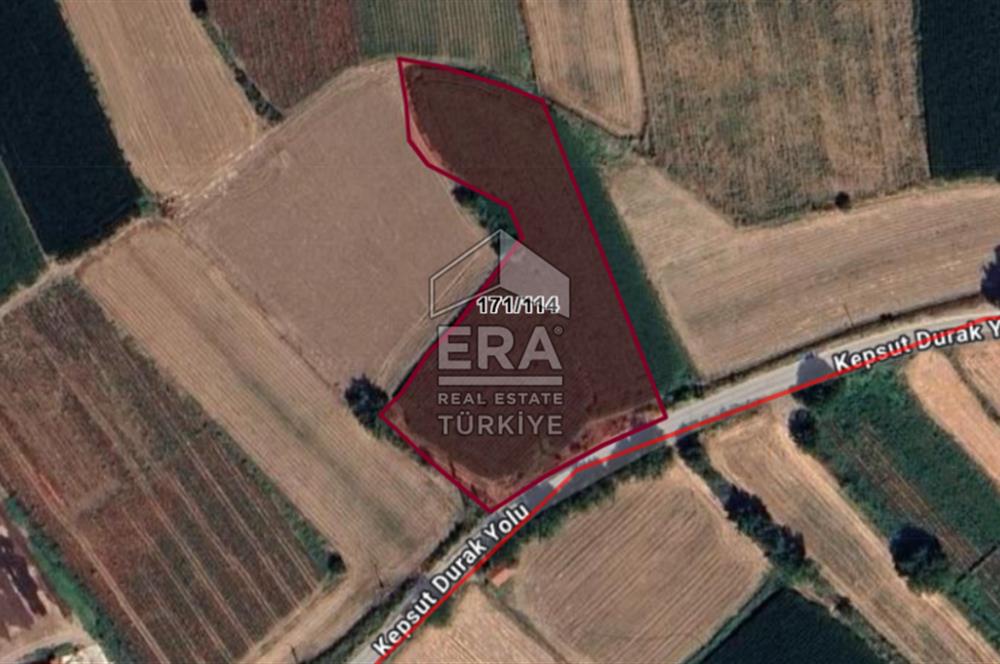 Kepsut'a 1km Mesafede Asfalta Sıfır Elektrik ve Suyu Olan Düz Tarla