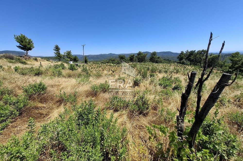 ANTALYA MANAVGAT'GEBECE KÖYÜ'HONA MEVKİİ SATILIK TEK TAPU TARLA.