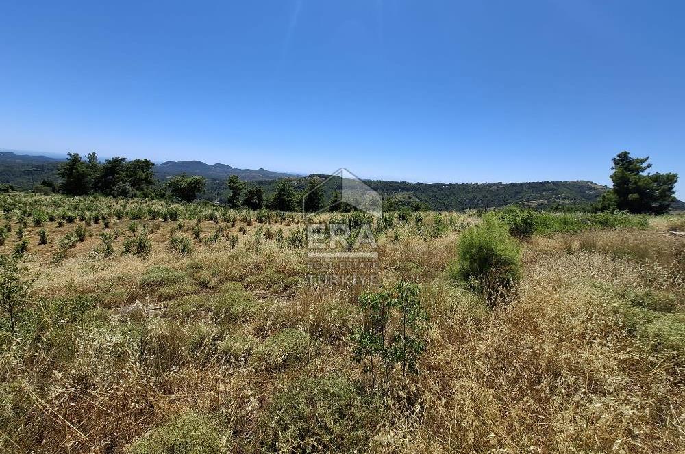 ANTALYA MANAVGAT'GEBECE KÖYÜ'HONA MEVKİİ SATILIK TEK TAPU TARLA.
