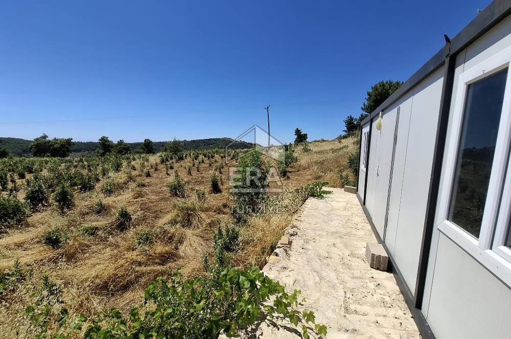 ANTALYA MANAVGAT'GEBECE KÖYÜ'HONA MEVKİİ SATILIK TEK TAPU TARLA.