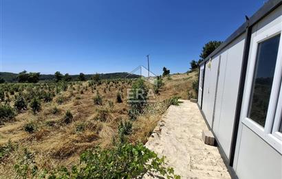 ANTALYA MANAVGAT'GEBECE KÖYÜ'HONA MEVKİİ SATILIK TEK TAPU TARLA.