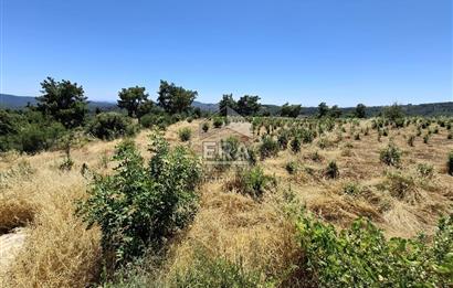 ANTALYA MANAVGAT'GEBECE KÖYÜ'HONA MEVKİİ SATILIK TEK TAPU TARLA.