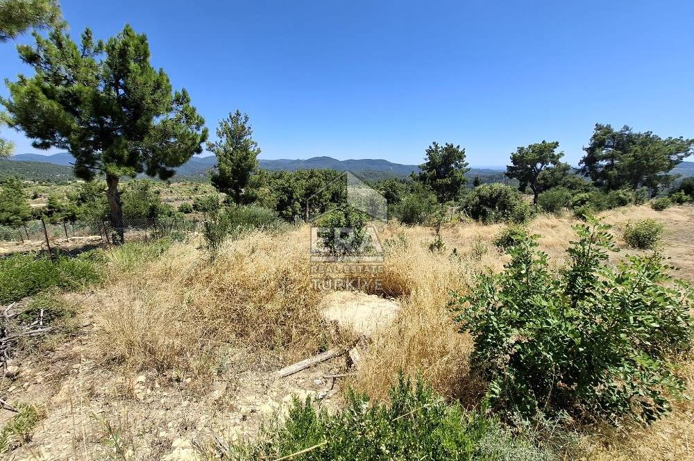 ANTALYA MANAVGAT'GEBECE KÖYÜ'HONA MEVKİİ SATILIK TEK TAPU TARLA.