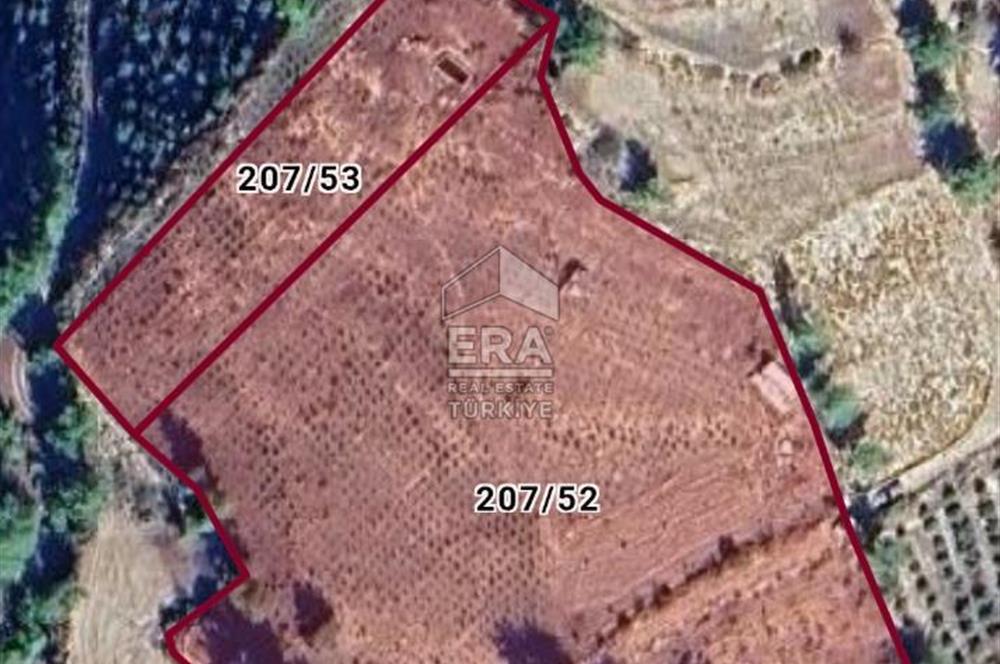 ANTALYA MANAVGAT'GEBECE KÖYÜ'HONA MEVKİİ SATILIK TEK TAPU TARLA.