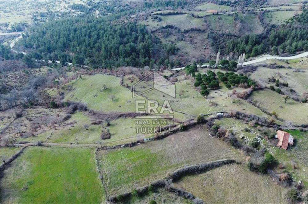 Era Söz'den İvrindi'de Köy Merkezine Yakın Tarla