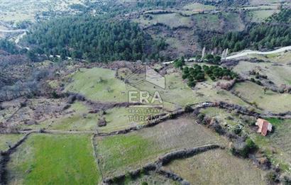 Era Söz'den İvrindi'de Köy Merkezine Yakın Tarla
