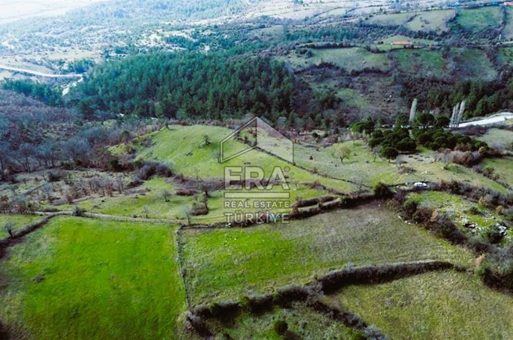 Era Söz'den İvrindi'de Köy Merkezine Yakın Tarla