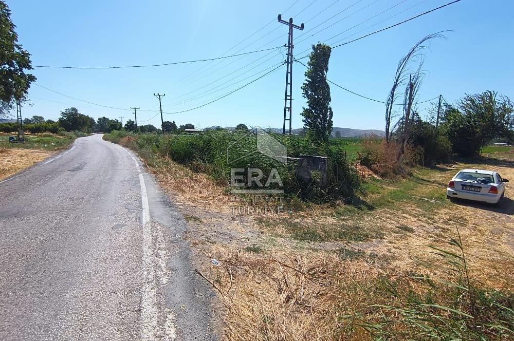Kepsut'a 1km Mesafede Asfalta Sıfır Elektrik ve Suyu Olan Düz Tarla