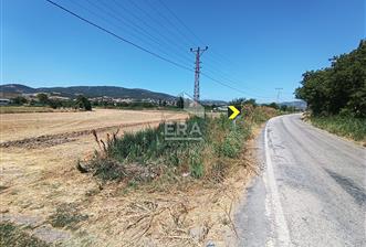 Kepsut'a 1km Mesafede Asfalta Sıfır Elektrik ve Suyu Olan Düz Tarla - 1 - 15390