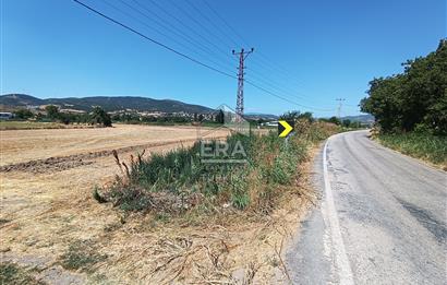 Kepsut'a 1km Mesafede Asfalta Sıfır Elektrik ve Suyu Olan Düz Tarla
