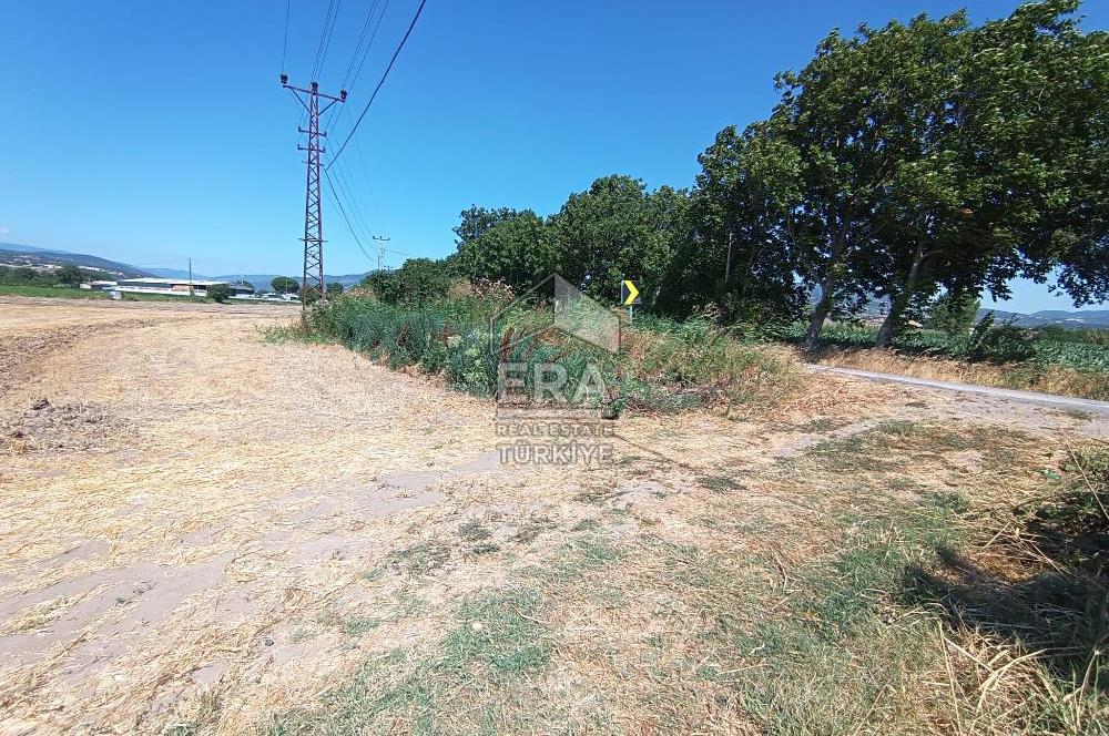 Kepsut'a 1km Mesafede Asfalta Sıfır Elektrik ve Suyu Olan Düz Tarla