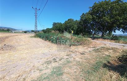 Kepsut'a 1km Mesafede Asfalta Sıfır Elektrik ve Suyu Olan Düz Tarla