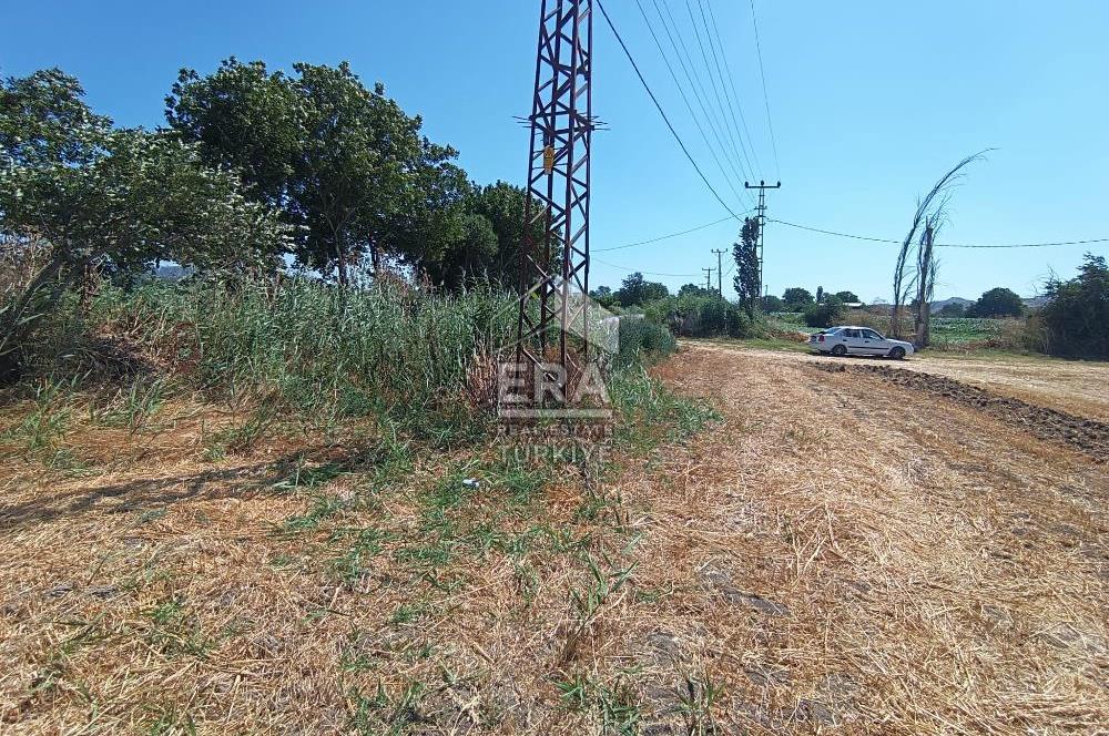 Kepsut'a 1km Mesafede Asfalta Sıfır Elektrik ve Suyu Olan Düz Tarla