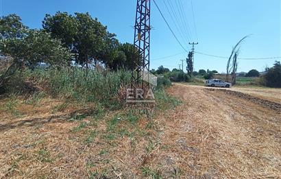 Kepsut'a 1km Mesafede Asfalta Sıfır Elektrik ve Suyu Olan Düz Tarla