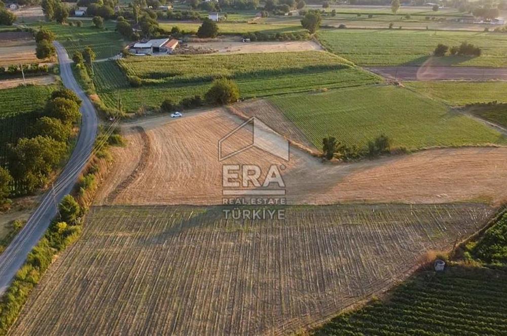 Kepsut'a 1km Mesafede Asfalta Sıfır Elektrik ve Suyu Olan Düz Tarla