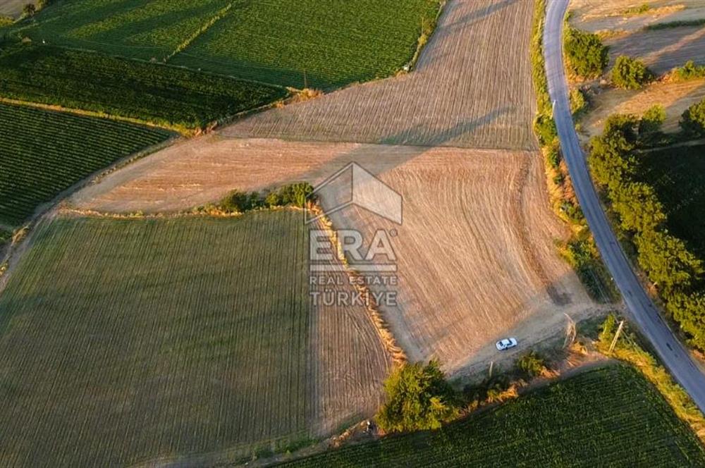 Kepsut'a 1km Mesafede Asfalta Sıfır Elektrik ve Suyu Olan Düz Tarla