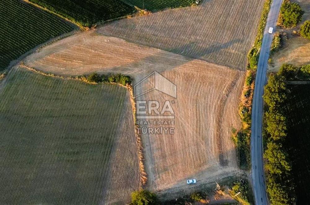 Kepsut'a 1km Mesafede Asfalta Sıfır Elektrik ve Suyu Olan Düz Tarla