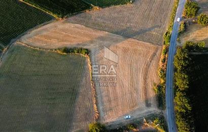 Kepsut'a 1km Mesafede Asfalta Sıfır Elektrik ve Suyu Olan Düz Tarla
