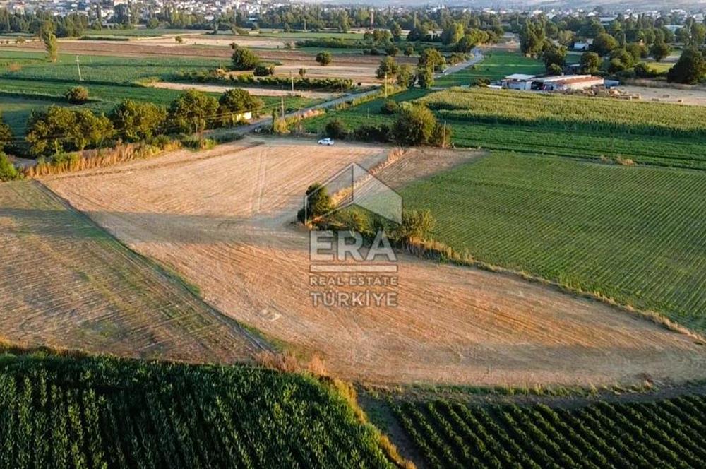 Kepsut'a 1km Mesafede Asfalta Sıfır Elektrik ve Suyu Olan Düz Tarla
