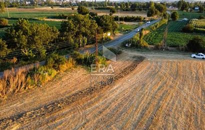 Kepsut'a 1km Mesafede Asfalta Sıfır Elektrik ve Suyu Olan Düz Tarla