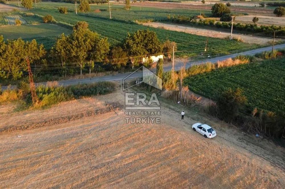 Kepsut'a 1km Mesafede Asfalta Sıfır Elektrik ve Suyu Olan Düz Tarla