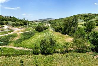 BALIKESİR SUSURLUK ÖMERKÖY MH SATILIK 4479 m² İMARLI ARSA - 7 - 15376