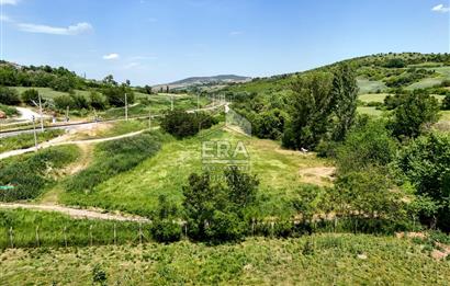 BALIKESİR SUSURLUK ÖMERKÖY MH SATILIK 4479 m² İMARLI ARSA