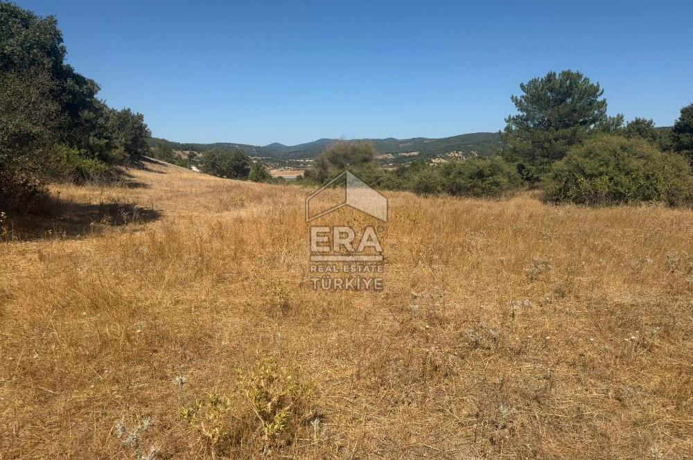 ERA PORT GÜVENCESİYLE ÇANAKKALE AYVACIK AKÇİN DE SATILIK TARLA