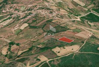 ERA PORT GÜVENCESİYLE KEPSUT MESTANLAR 2818m² SATILIK TARLA - 1 - 15449