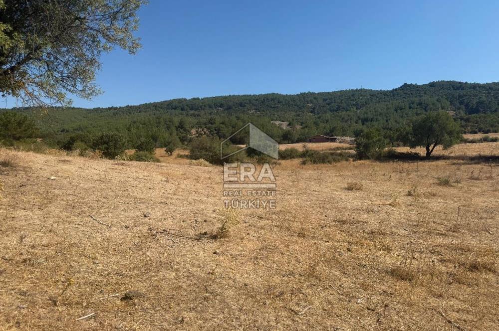 ERA PORT GÜVENCESİYLE ÇANAKKALE AYVACIK AKÇİN DE SATILIK TARLA
