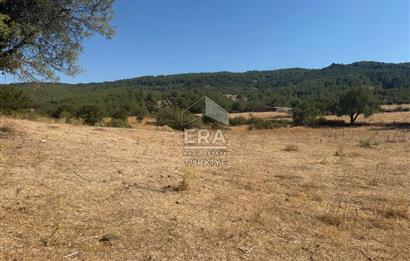 ERA PORT GÜVENCESİYLE ÇANAKKALE AYVACIK AKÇİN DE SATILIK TARLA