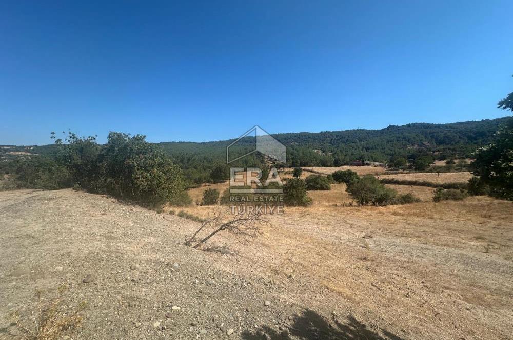 ERA PORT GÜVENCESİYLE ÇANAKKALE AYVACIK AKÇİN DE SATILIK TARLA