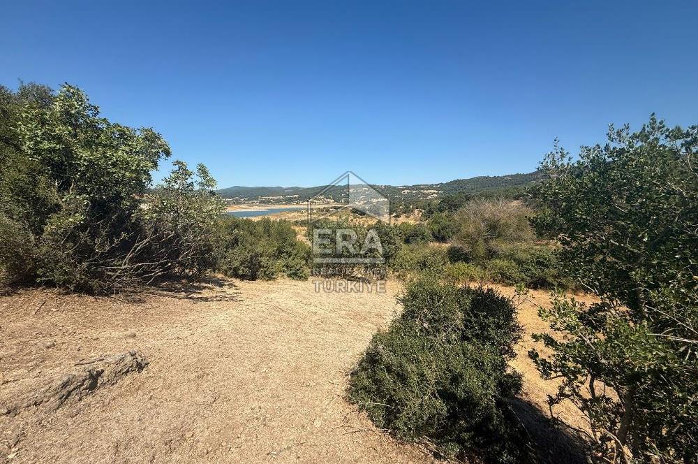 ERA PORT GÜVENCESİYLE ÇANAKKALE AYVACIK AKÇİN DE SATILIK TARLA