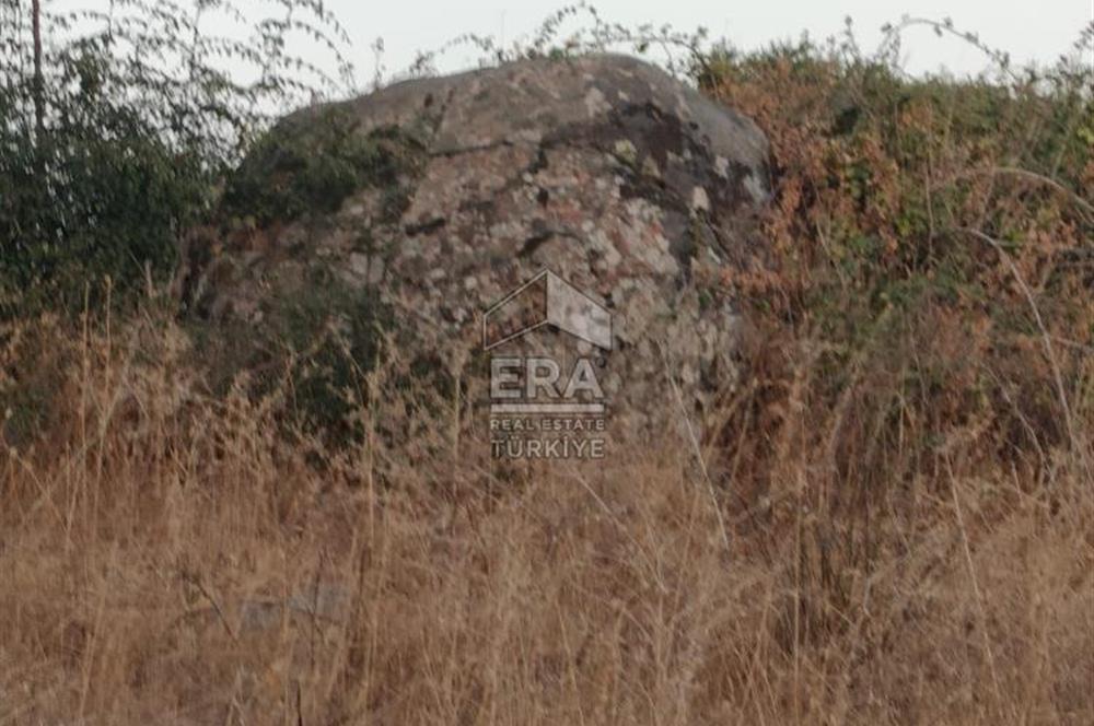 ERA PORT GÜVENCESİYLE ÇANAKKALE AYVACIK AKÇİN DE SATILIK TARLA 