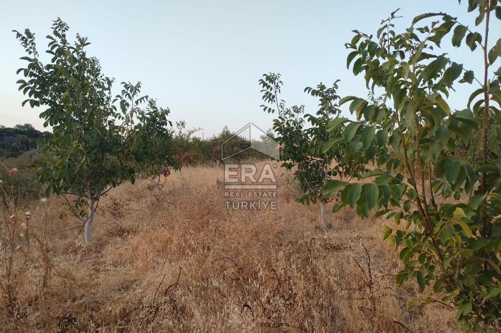 ERA PORT GÜVENCESİYLE ÇANAKKALE AYVACIK AKÇİN DE SATILIK TARLA 