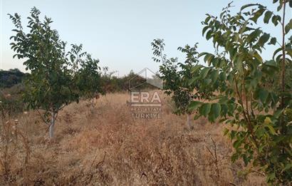 ERA PORT GÜVENCESİYLE ÇANAKKALE AYVACIK AKÇİN DE SATILIK TARLA 