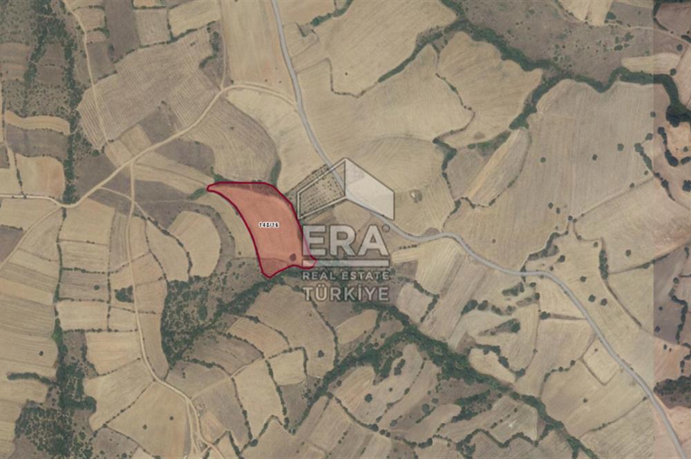 ERA PORT'TAN BALIKESİR DEREKÖY KÖYÜ'NDE 13.465,55m² TARLA