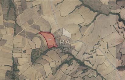 ERA PORT'TAN BALIKESİR DEREKÖY KÖYÜ'NDE 13.465,55m² TARLA