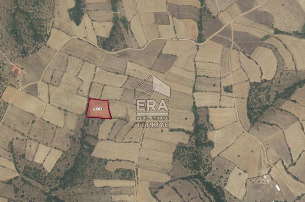 ERA PORT'TAN BALIKESİR DEREKÖY KÖYÜ'NDE 4.217,15m² TARLA