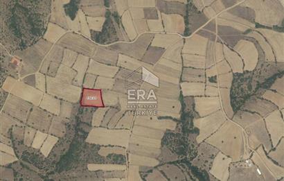 ERA PORT'TAN BALIKESİR DEREKÖY KÖYÜ'NDE 4.217,15m² TARLA