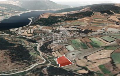ERA PORT'TAN BİGADİÇ KÜÇÜKYENİ'DE SATILIK CEVİZLİK TARLA