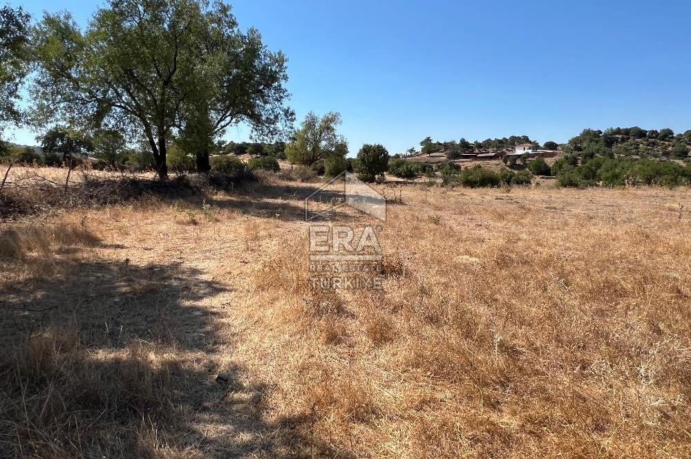 ERA PORT GÜVENCESİYLE ÇANAKKALE AYVACIK AKÇİN DE SATILIK TARLA