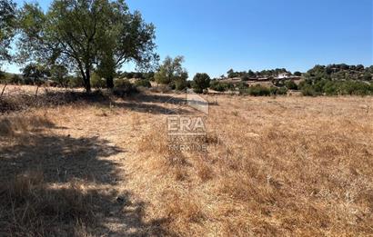 ERA PORT GÜVENCESİYLE ÇANAKKALE AYVACIK AKÇİN DE SATILIK TARLA
