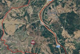 ERA PORT GÜVENCESİYLE SUSURLUK SULTANİYE'DE SATILIK TARLA - 4 - 15468