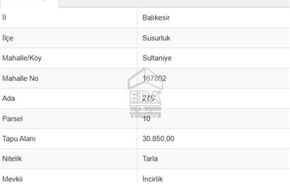 ERA PORT GÜVENCESİYLE SUSURLUK SULTANİYE'DE SATILIK TARLA