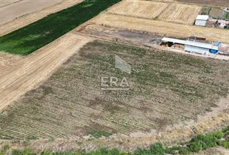 ERA PORT GÜVENCESİYLE GÖKÇEYAZI MAHALLESİNDE 7616M2 TARLA - 1 - 15491