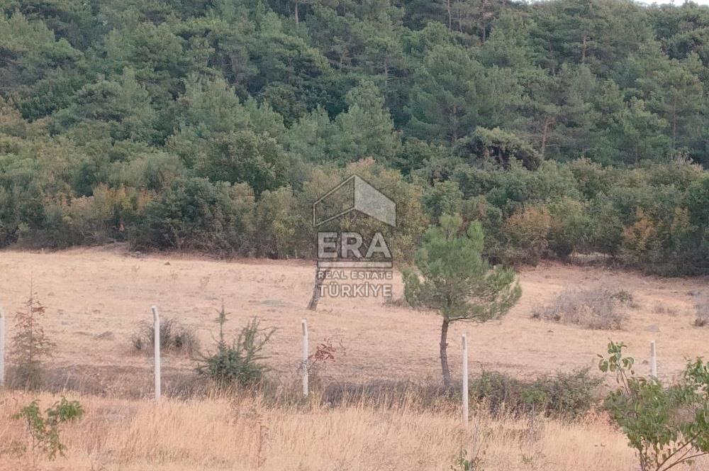 ERA PORT GÜVENCESİYLE ÇANAKKALE AYVACIK AKÇİN DE SATILIK TARLA 