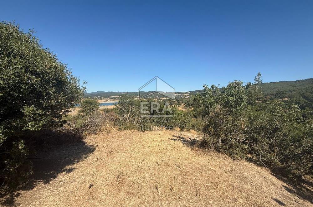 ERA PORT GÜVENCESİYLE ÇANAKKALE AYVACIK AKÇİN DE SATILIK TARLA